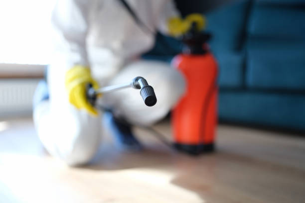 Best Forensic Mold Investigation  in Bellaire, TX